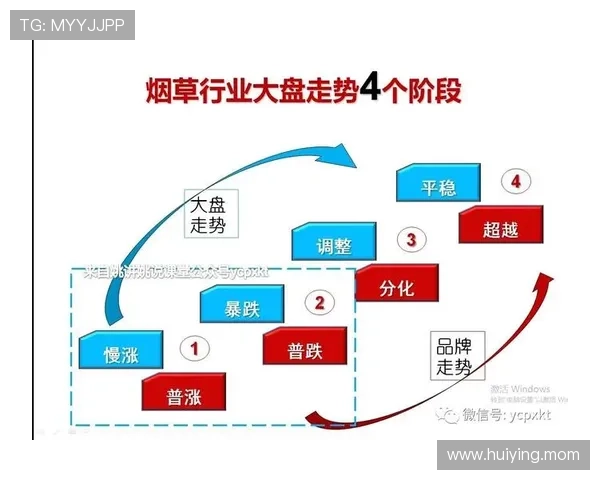 PA真人的多功能应用与未来发展趋势深入分析